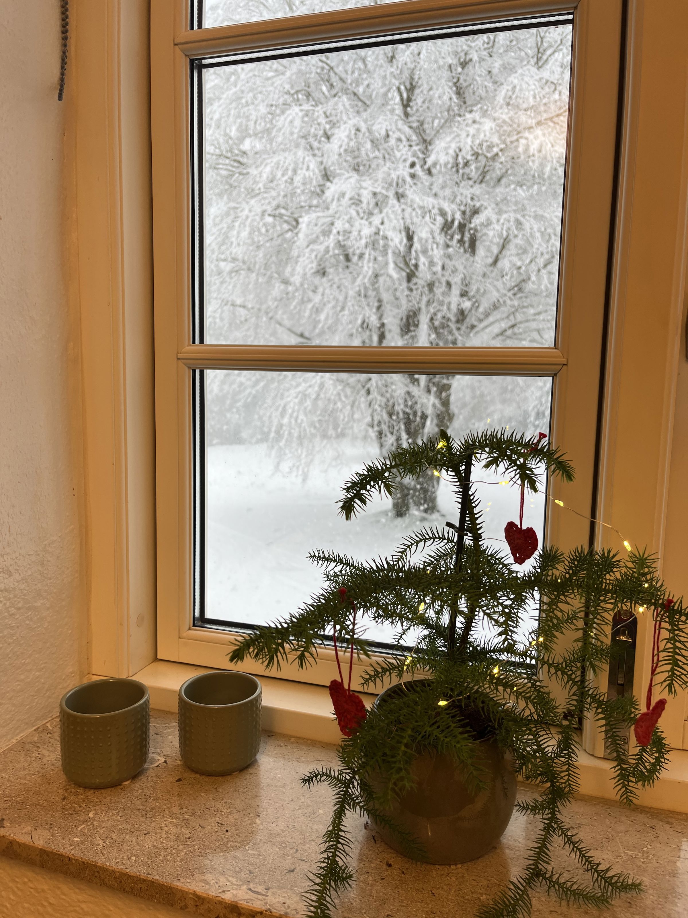 Julestemning på BUCVF