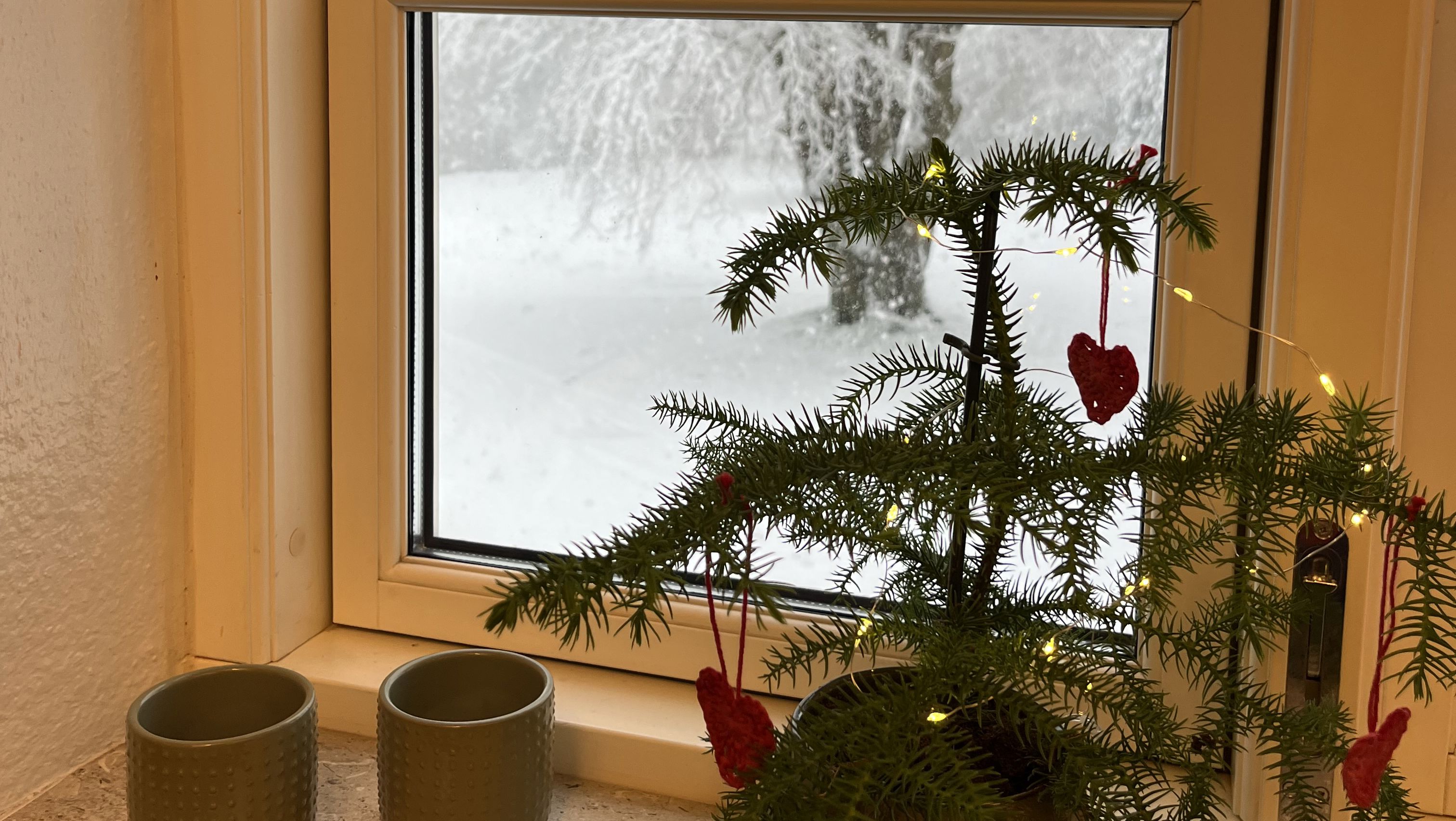 Julestemning på BUCVF