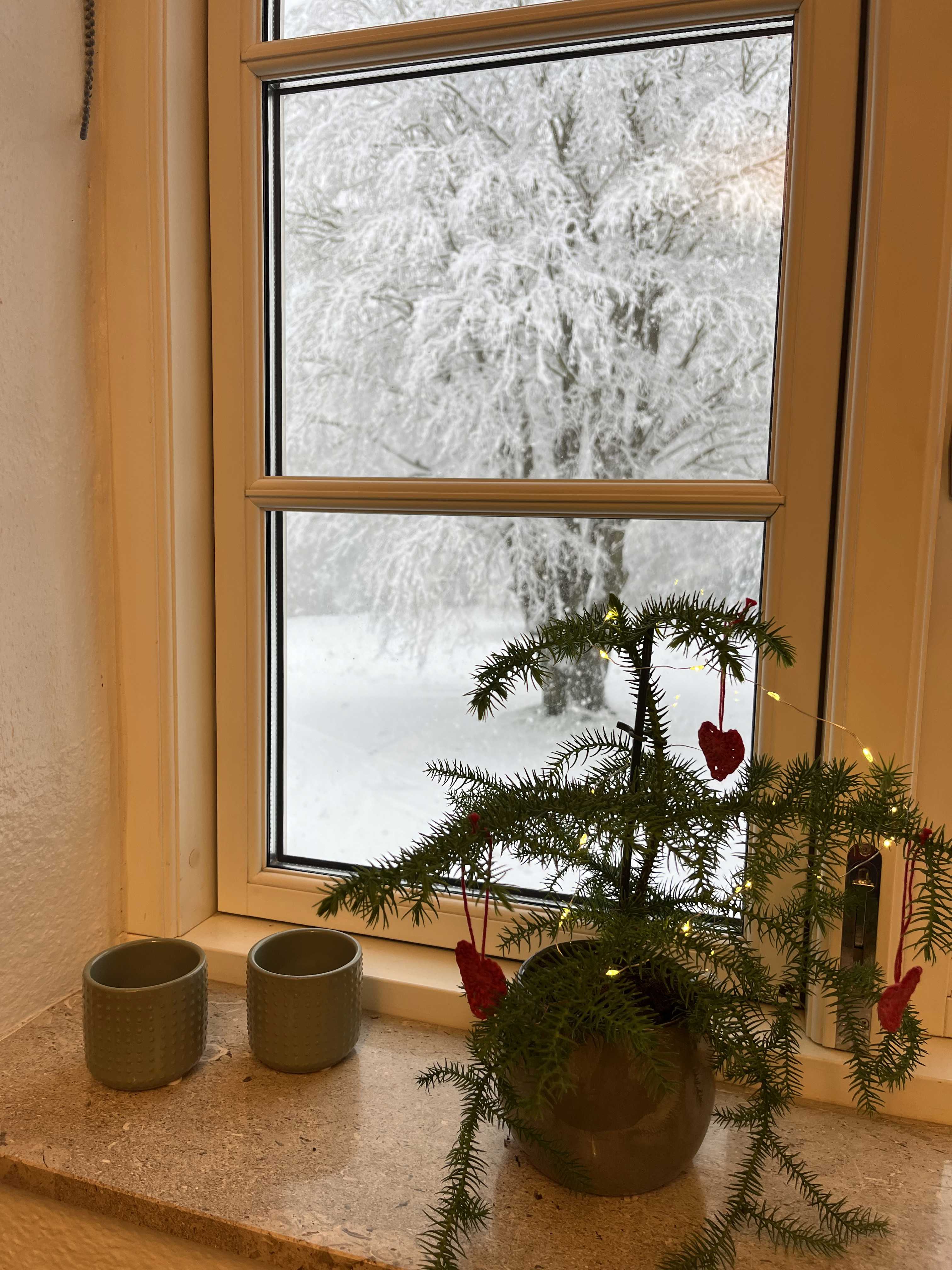 Julestemning på BUCVF